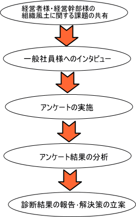 ご支援の流れ: 経営者様・経営幹部様の組織風土に関する課題の共有 → 一般社員様へのインタビュー → アンケートの実施 → アンケート結果の分析 → 診断結果の報告・解決策の立案