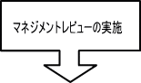 マネジメントレビューの実施